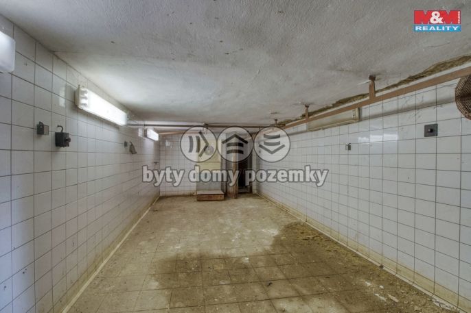 Prodej, Restaurace, stravování, Vodňany