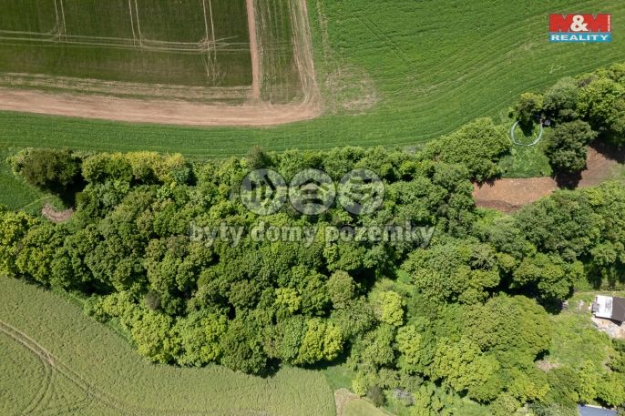 Prodej, Pozemek k bydlení, Třebařov