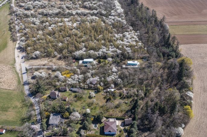 Prodej, Pozemek k bydlení, Škvorec