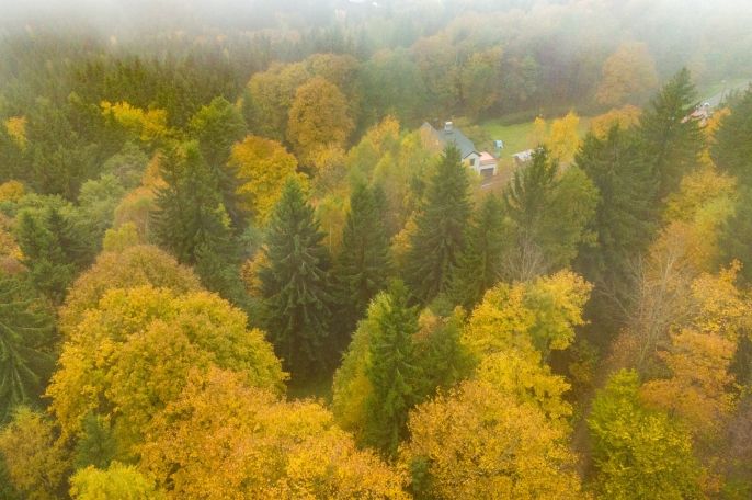 Prodej, Ostatní, Nová Ves nad Nisou