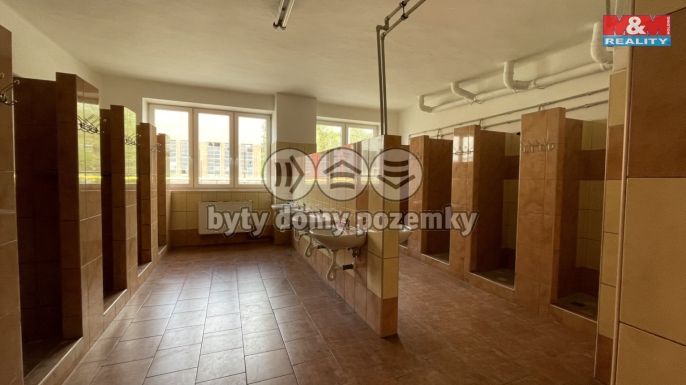 Pronájem, Výrobní objekt, Studénka