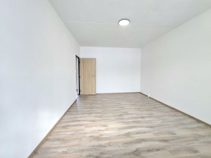 Pronájem, Byt 3+1, Ostrov