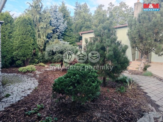 Pronájem, Rodinný dům, Rapotice