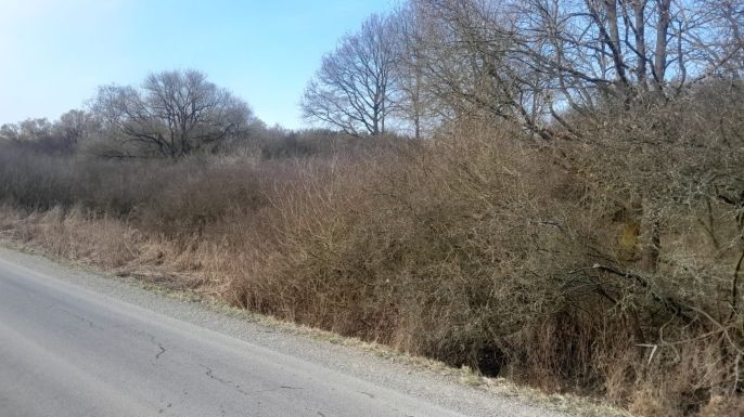 Prodej, Ostatní, Jinín