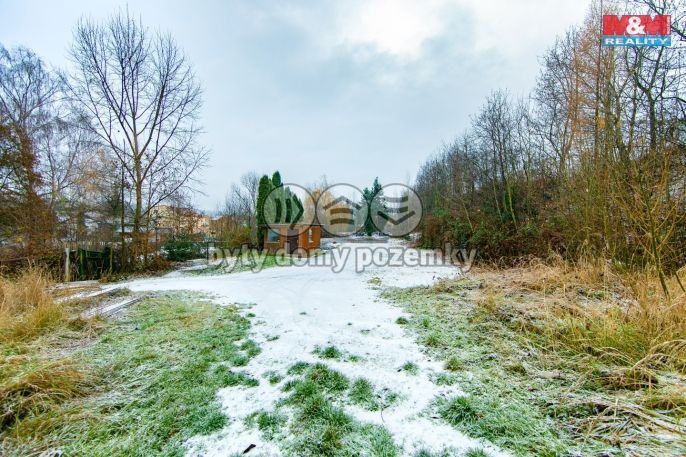 Pronájem, Ostatní, Plzeň