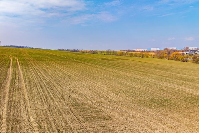 Prodej, Pole, Kunice