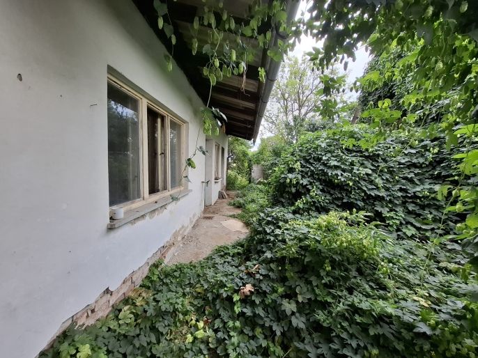 Prodej, Rodinný dům, Vlkoš