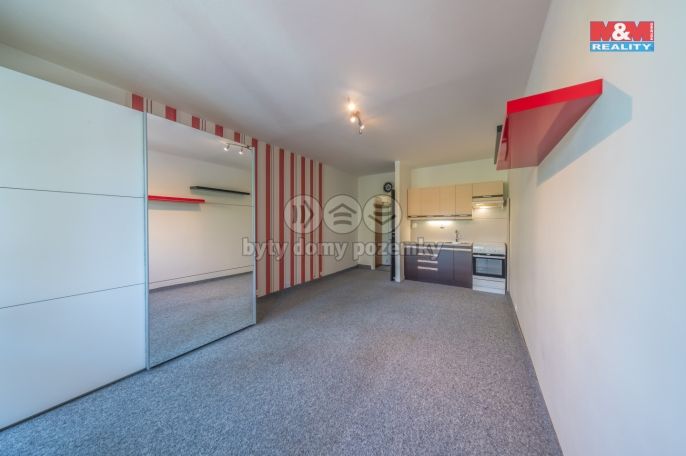 Pronájem, Byt 1+kk, Orlová