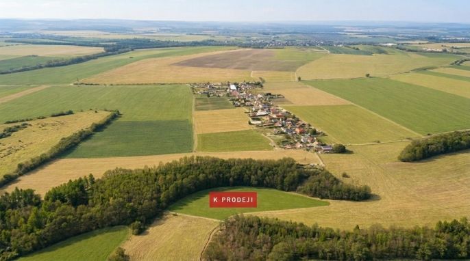 Prodej, Louka, Čistá