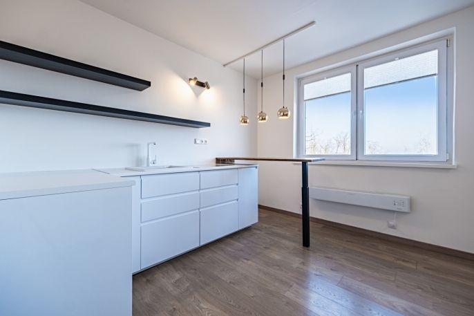 Prodej, Byt 1+kk, Doubravčice