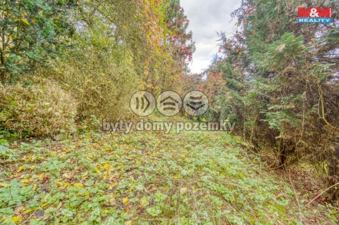 Prodej, Chata, Hromnice