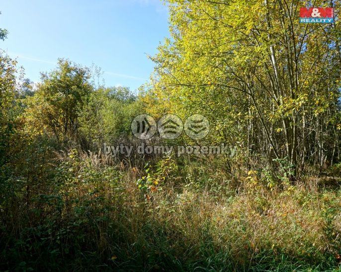 Prodej, Pozemek k bydlení, Třebeň