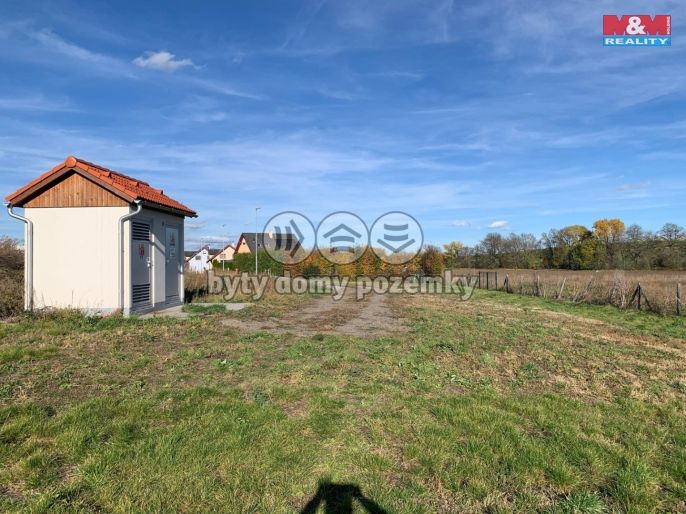 Prodej, Zahrada, Holubice