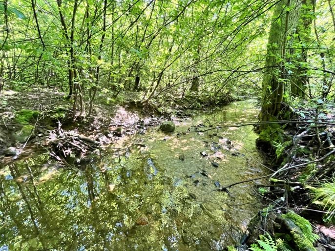 Prodej, Vodní plocha, Skalice u České Lípy