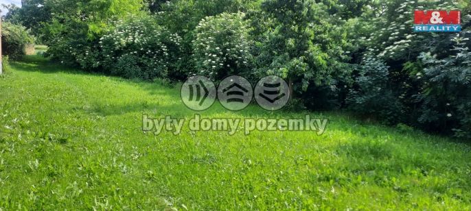 Prodej, Zahrada, Loučany