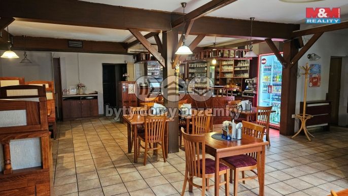 Pronájem, Hotel, penzion, Přerov