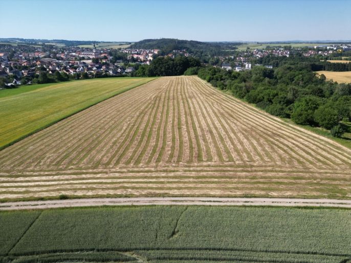 Prodej, Pozemek k bydlení, Polná