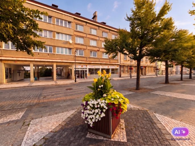 Prodej, Byt 2+1, Louny