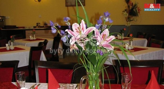 Prodej, Hotel, penzion, Karviná