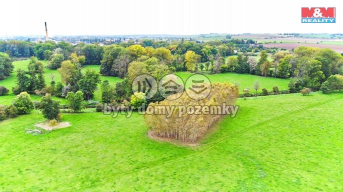 Prodej, Les, Skřivany