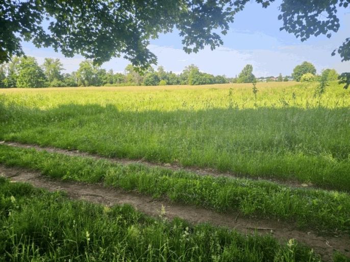 Prodej, Louka, Hradec Králové