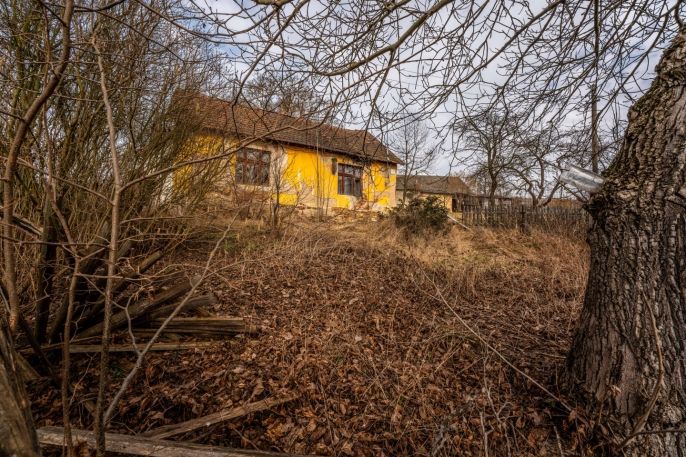 Prodej, Rodinný dům, Ostředek