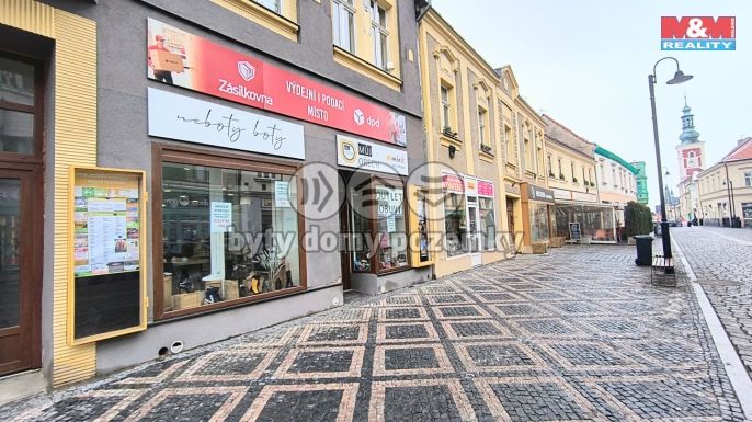 Pronájem, Obchod a služby, Slaný