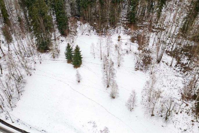 Prodej, Pozemek k bydlení, Dolní Dvůr