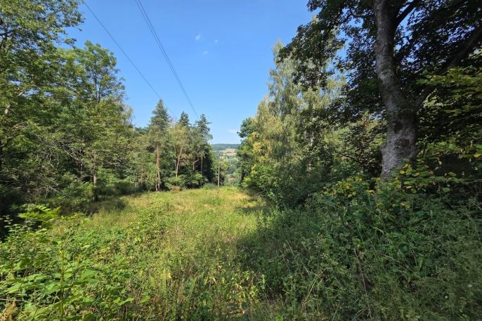 Prodej, Ostatní, Šemnice