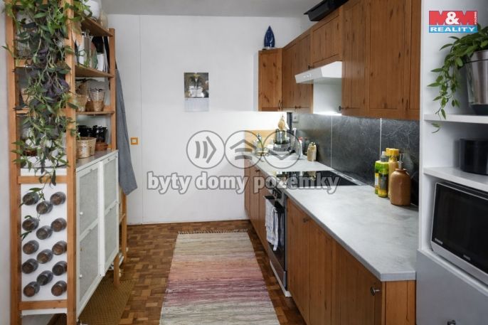 Pronájem, Byt 3+1, Lány