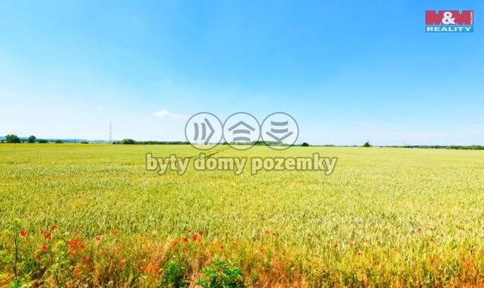 Prodej, Pole, Kostelec nad Labem