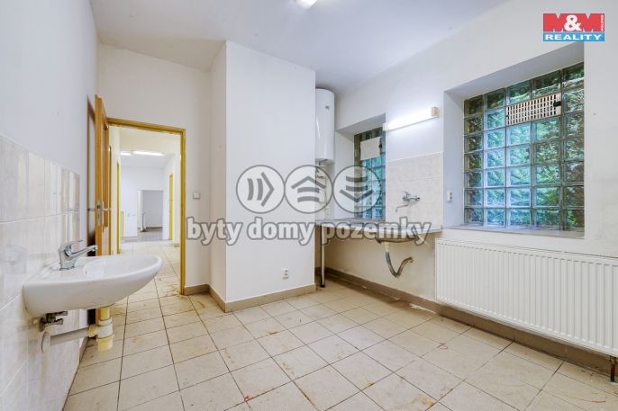 Pronájem, Obchod a služby, Šťáhlavy