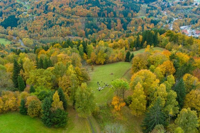 Prodej, Louka, Tanvald