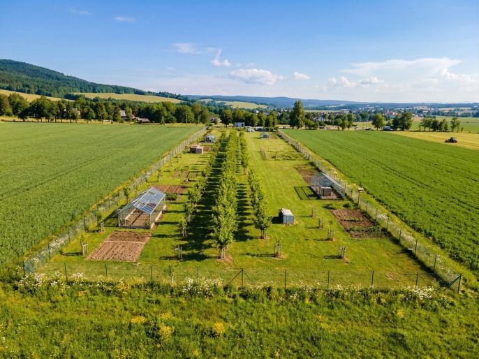Prodej, Pozemek k bydlení, Králíky