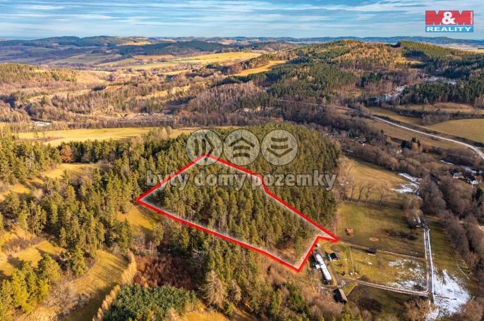 Prodej, Les, Malenice