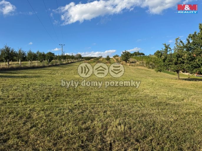 Prodej, Pozemek k bydlení, Borkovany