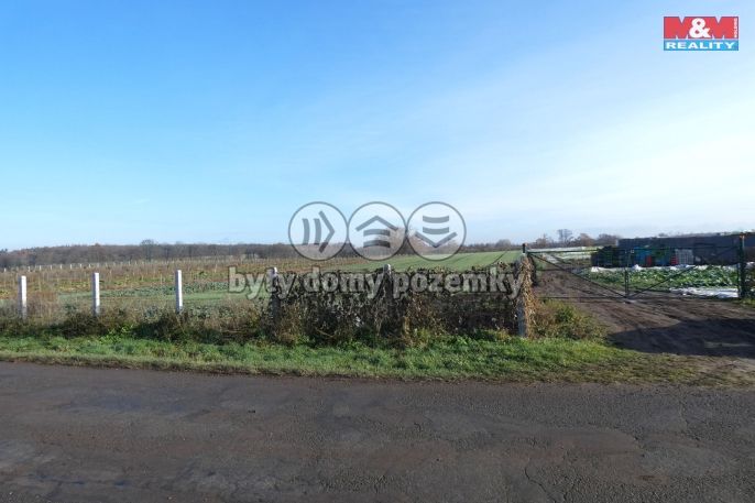 Prodej, Ovocný sad, Nové Dvory