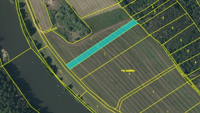 Prodej, Louka, Kladruby