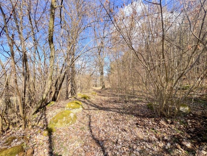 Prodej, Louka, Sušice