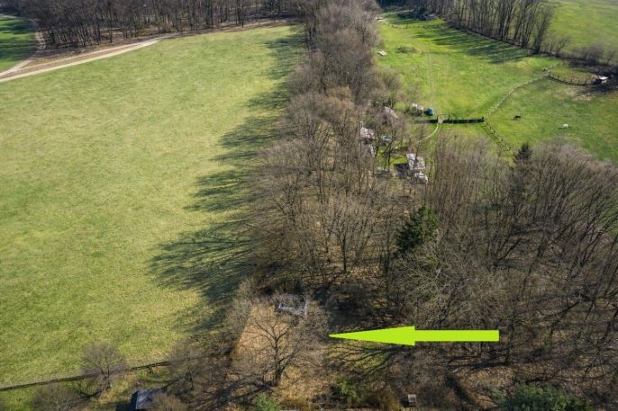 Prodej, Zahrada, Ráby