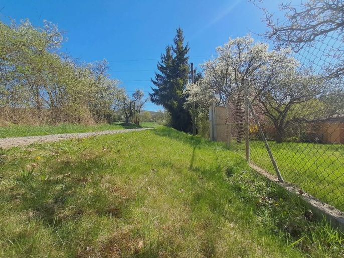 Pronájem, Zahrada, Přeštice