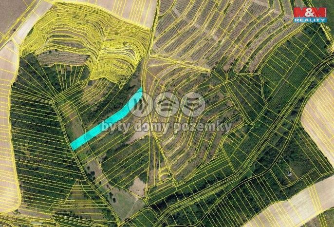 Prodej, Les, Hustopeče