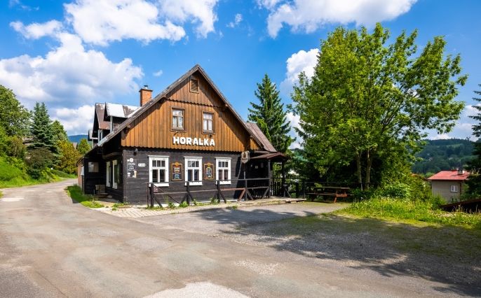 Prodej, Hotel, penzion, Rokytnice nad Jizerou