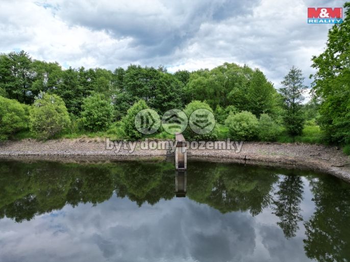 Prodej, Vodní plocha, Vílanec
