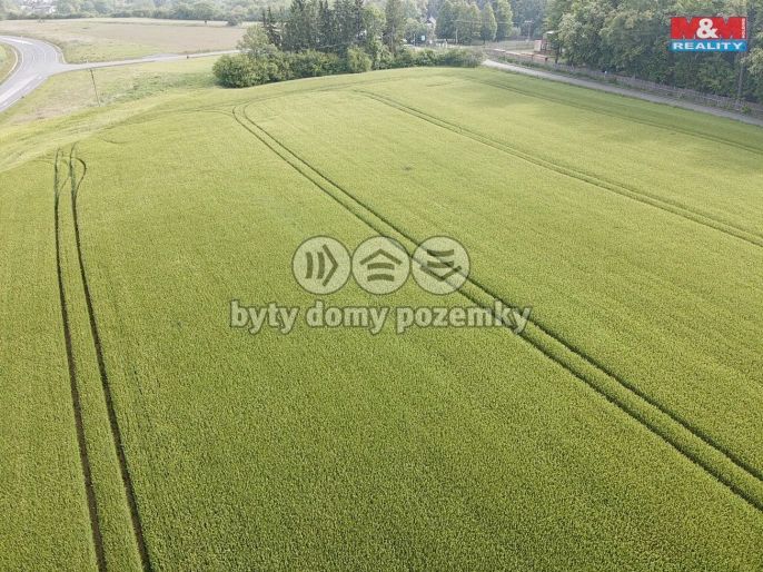 Prodej, Pole, Opočno