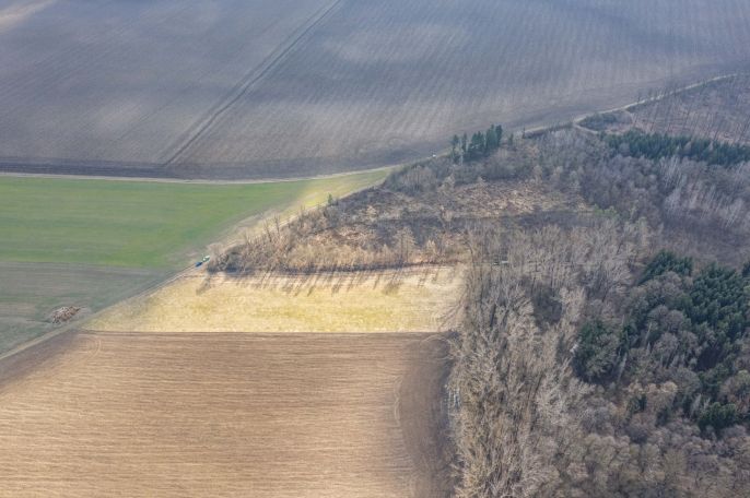 Prodej, Les, Bohuslavice