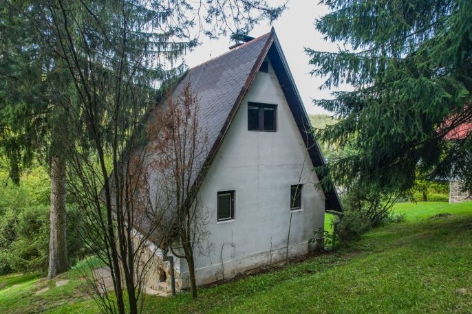 Prodej, Chata, Všemina