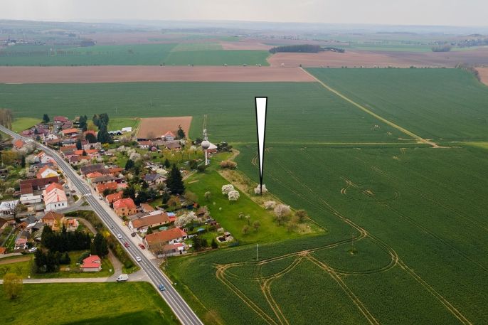 Prodej, Zahrada, Kořenice