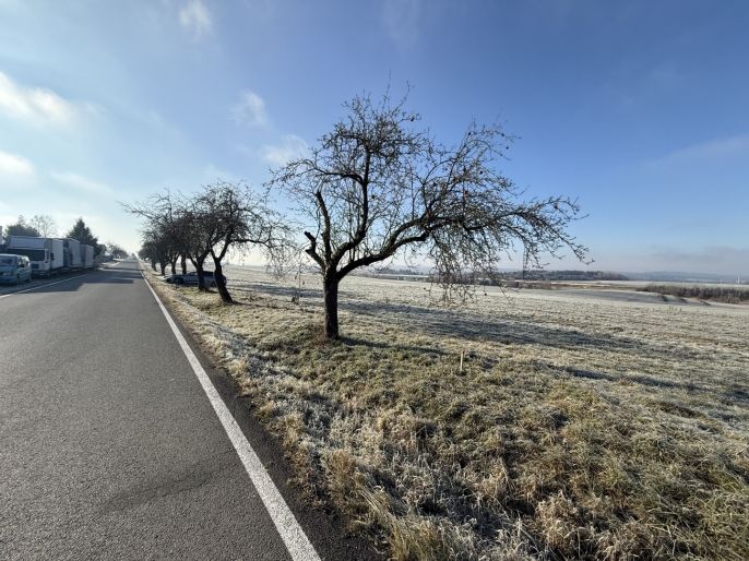 Prodej, Pozemek k bydlení, Myslkovice