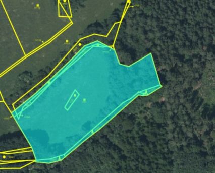 Prodej, Louka, Sušice